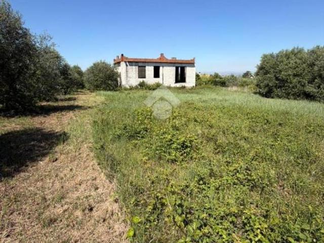 Rustico/casale/corte in vendita a San Cesareo via del Giunco, 6
