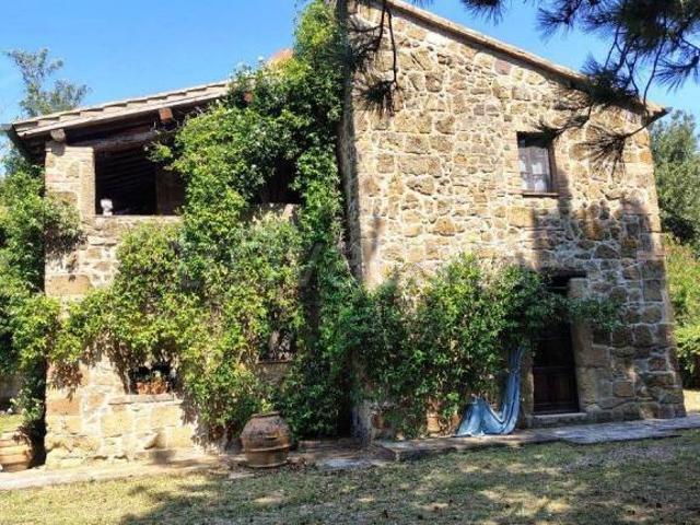 Rustico/casale/corte in vendita a Sorano