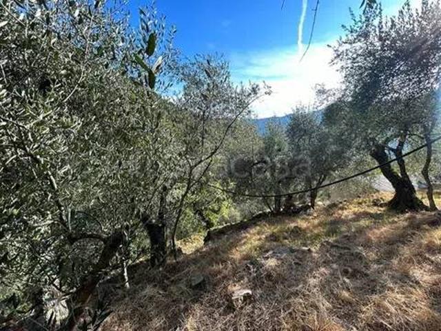 Rustico/casale/corte in vendita a Taggia