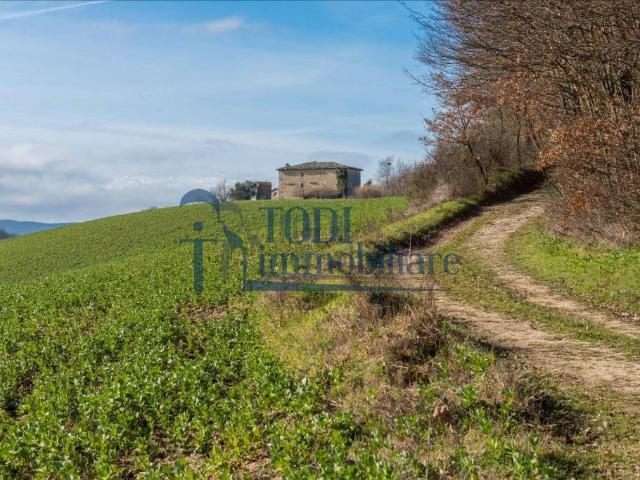 Rustico/casale/corte in vendita a Todi