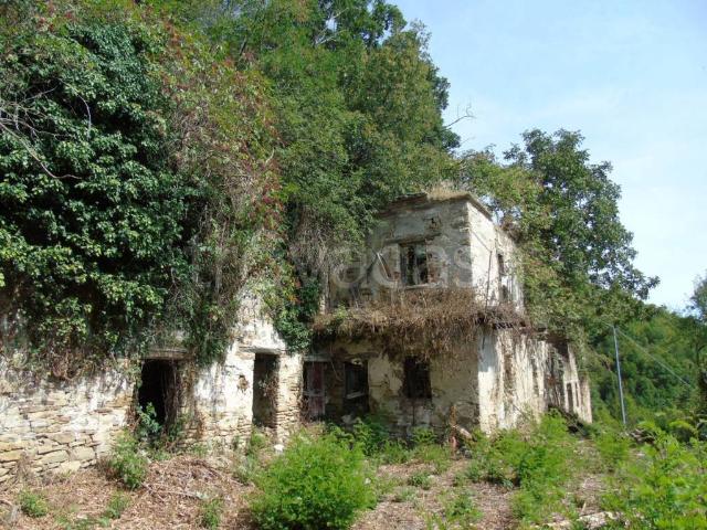 Rustico/casale/corte in vendita a Vesime