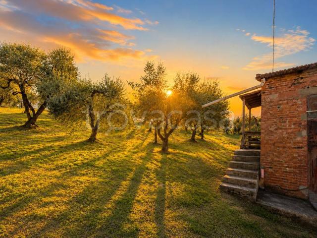 Rustico/casale/corte in vendita a Vinci