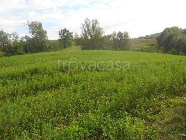 Rustico/casale/corte in vendita a Ziano Piacentino