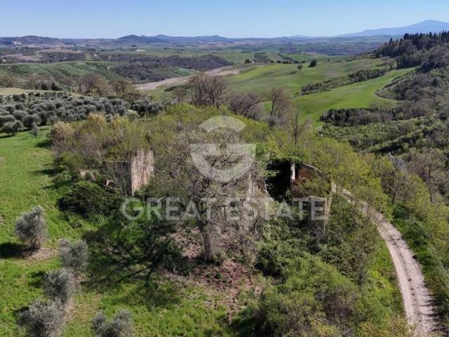 Rustico/casale/corte in vendita ad Asciano strada Vicinale del Piano