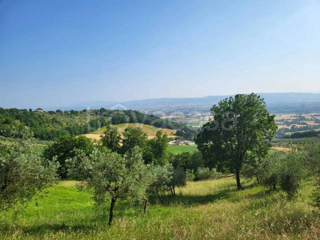 Rustico/casale/corte in vendita ad Assisi via San Fortunato, 9