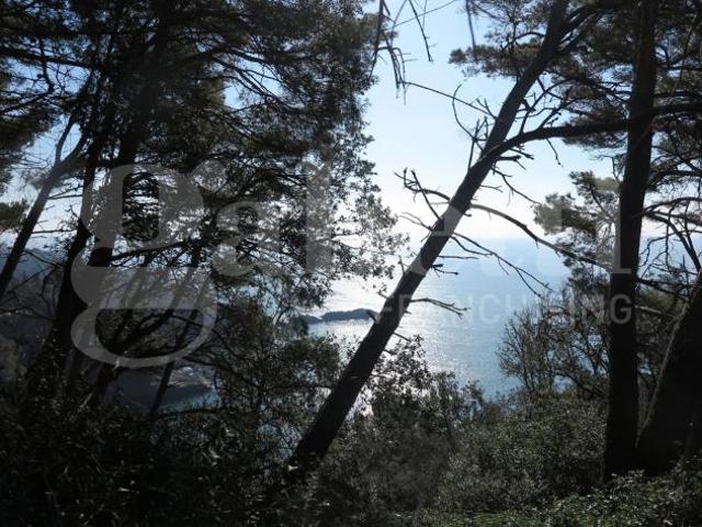 Rustico/Casale/Corte Lerici. Rif.: 629VRG