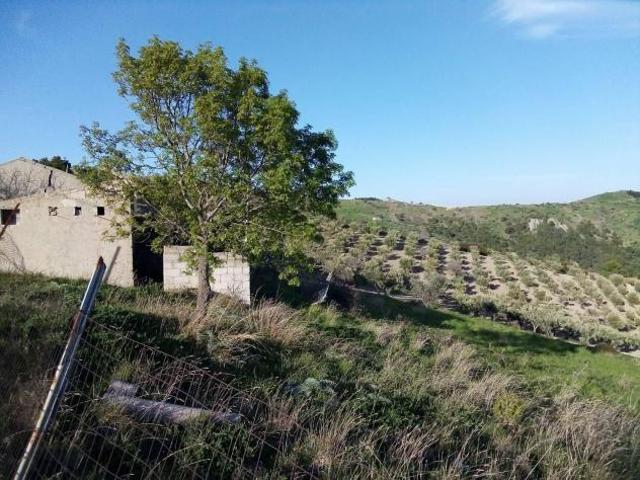 Rustico/Casale/Corte Montegiordano. Rif.: 33701