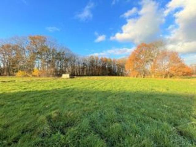 RUSTIG GELEGEN PERCEEL WEILAND OP 8661M²