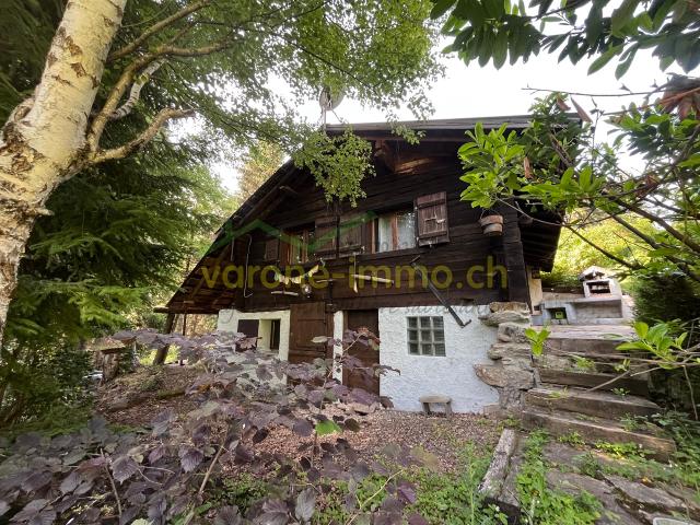 Rustikales Chalet im Herzen des Sanetschtals – Ruhe & Abwechslung