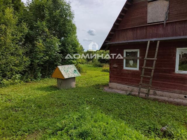Русыня д