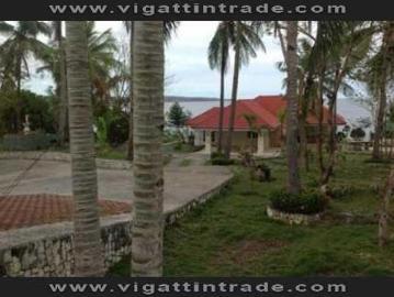 Rush Sale Beach House with Ocean View In Tabogon Cebu