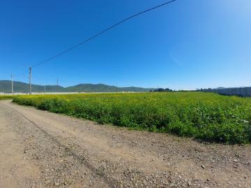 RUTA 43 CON LA CANTERA