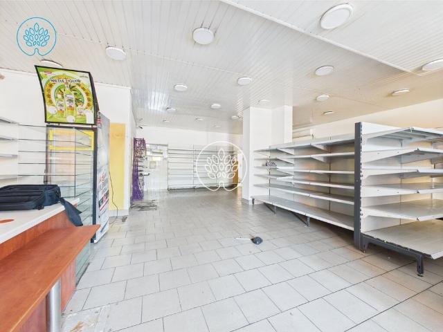 Rynarzewo, 359,10 m2