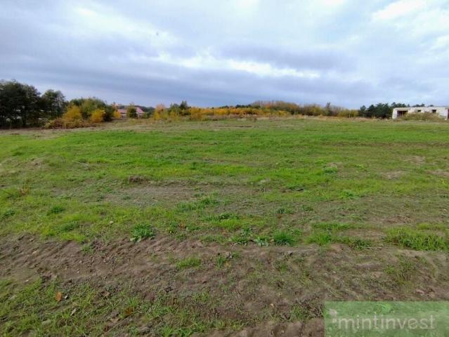 Rybacka 901 m², Goleniów
