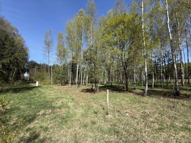 Rybna, ul. Kręta, 1523 m² Działka