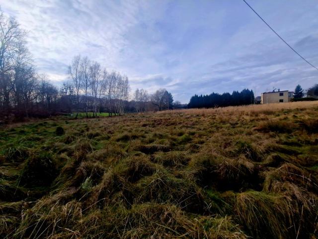Rybnicka 5 119 m², Łaziska Górne