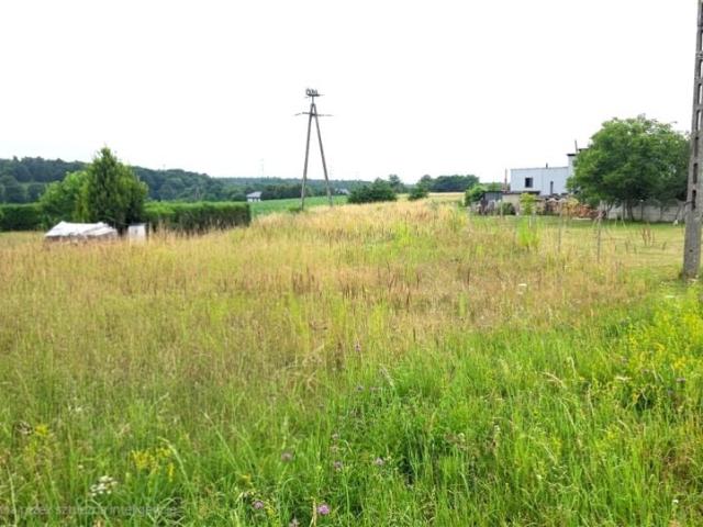 Rybnicka 1 277 m², Lyski