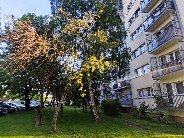 Rydzowa 46,55 m², Łódź