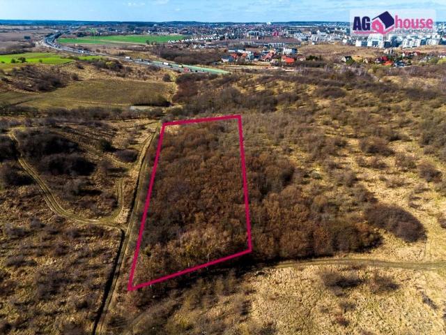 Ryszarda Tomczaka 4 480 m², Gdańsk