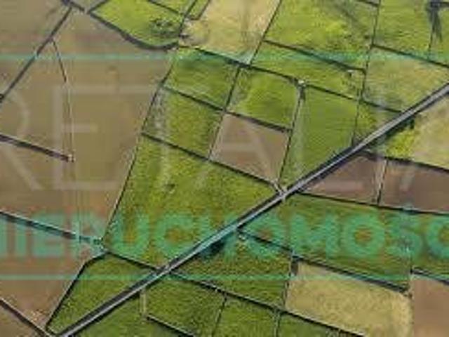 Działka 3000 m2 z mediami i planem zabudowy