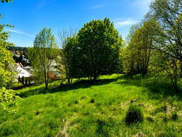 Rzemieślnicza 818 m², Borowo