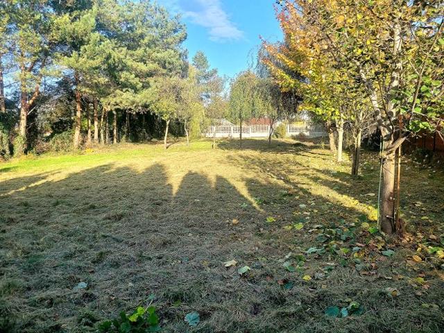 Rzepakowa 926 m², Opole