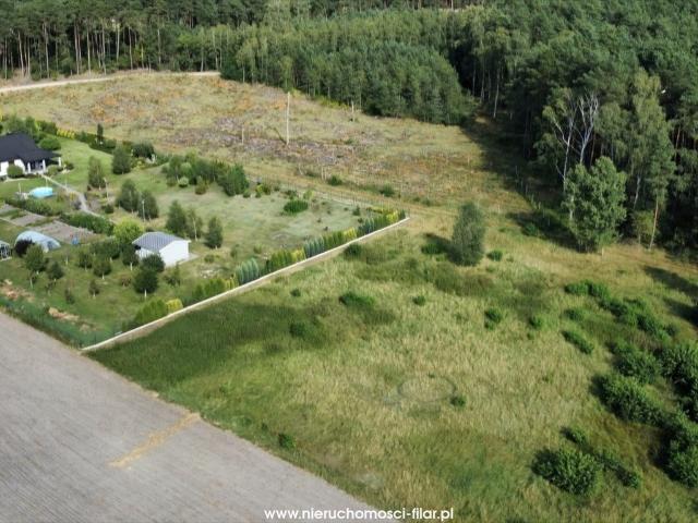 Działka 2995 m² w Rzywnie – las, cisza, spokój