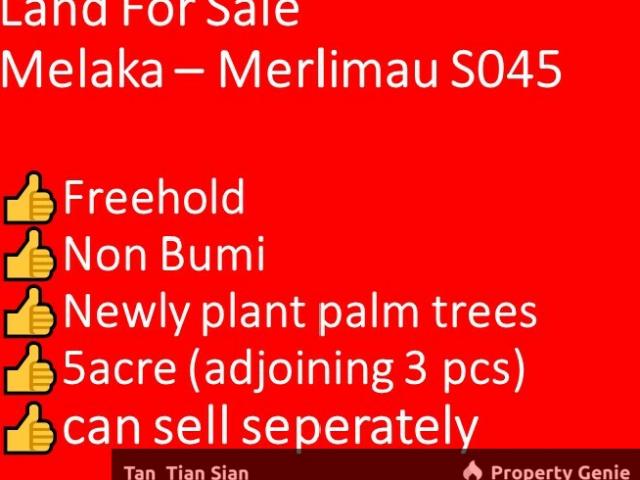 S045 Land For Sale @ Merlimau, Jasin, Melaka Good location murah cheap raw land Palm Sawit good