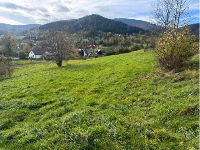 Słotwina 1 488 m², Lipowa