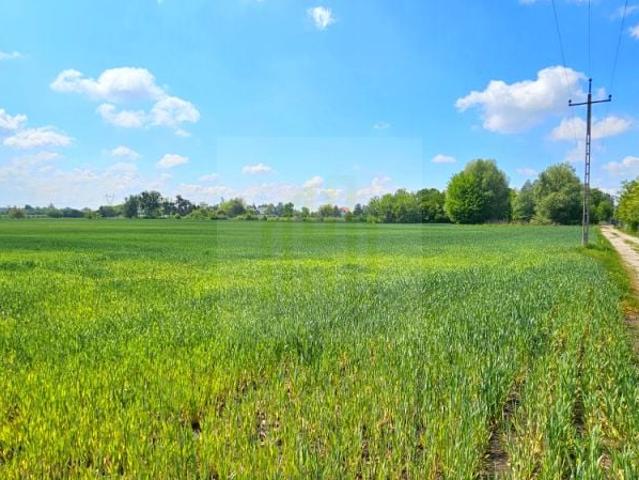 Słowicza 1 600 m², Bieniewice