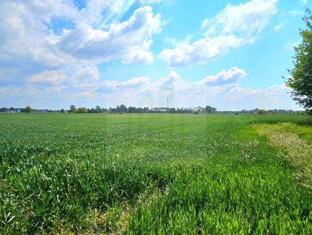 Słowicza 2 527 m², Bieniewice