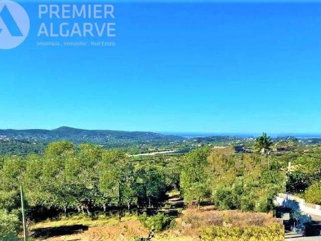 São Brás de Alportel Algarve 100625924