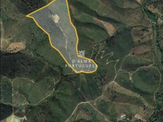 São Brás de Alportel Algarve 92508510