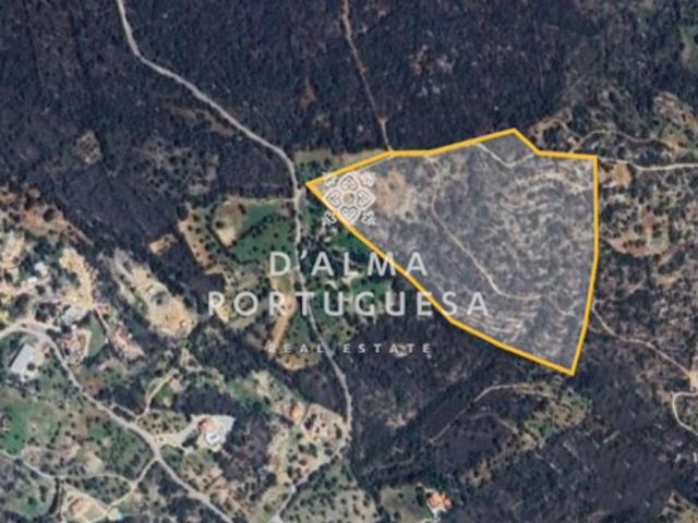 São Brás de Alportel Algarve 92745479