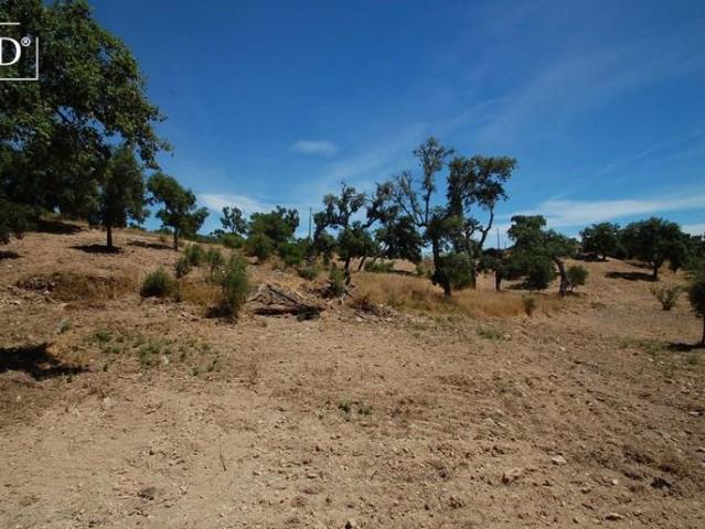 São Brás de Alportel Algarve 93214668
