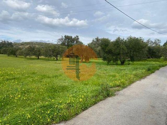 São Brás de Alportel Faro LS96316190