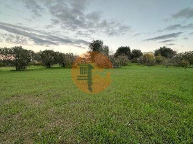 São Brás de Alportel Faro LS96329023