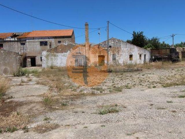 São Brás de Alportel Faro 8150 013 96316176
