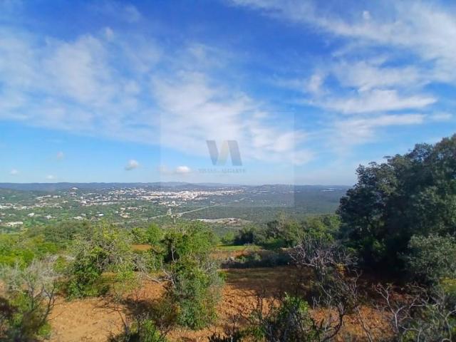 São Brás de Alportel São Brás de Alportel 8150 027 95848192