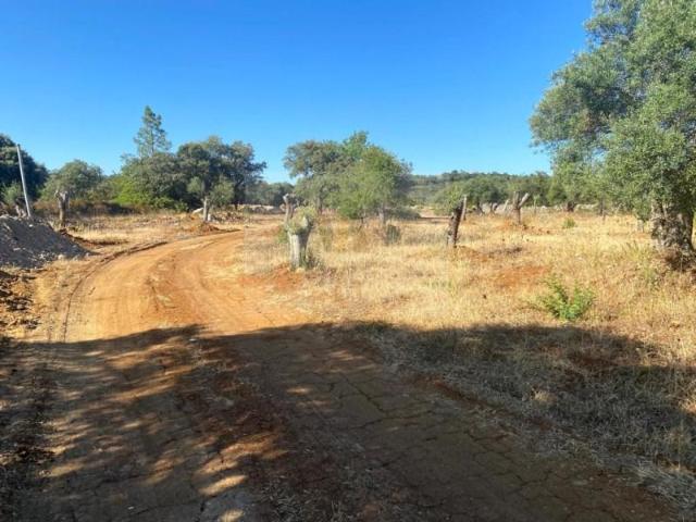 São Brás de Alportel São Brás de Alportel 8150 026 103205057