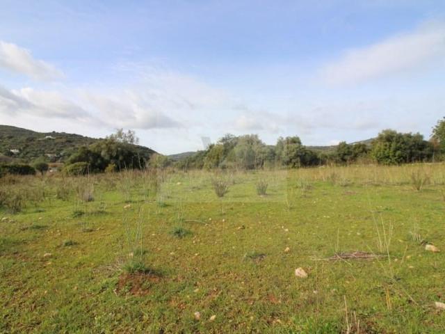 São Brás de Alportel São Brás de Alportel 99784623