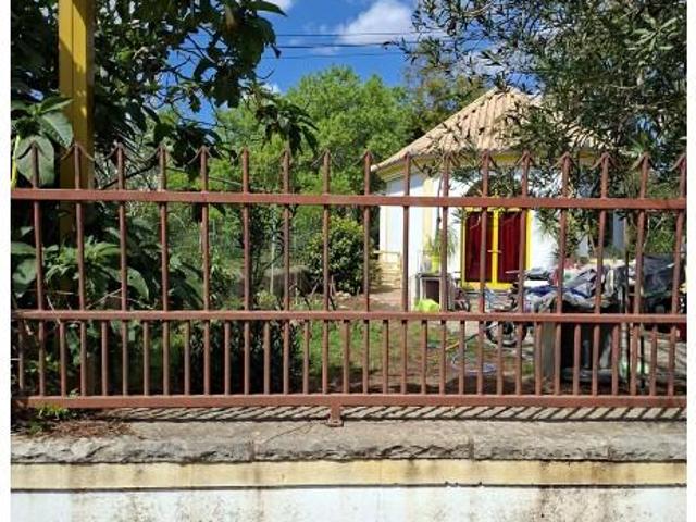 São Brás de Alportel São Brás de Alportel 101226624
