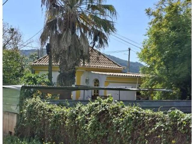 São Brás de Alportel São Brás de Alportel 101226624