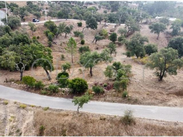 São Brás de Alportel São Brás de Alportel 104566462