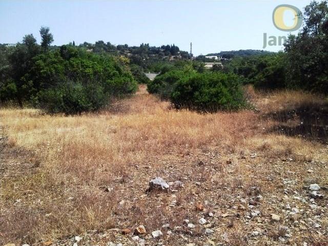 São Brás de Alportel São Brás de Alportel 104619980