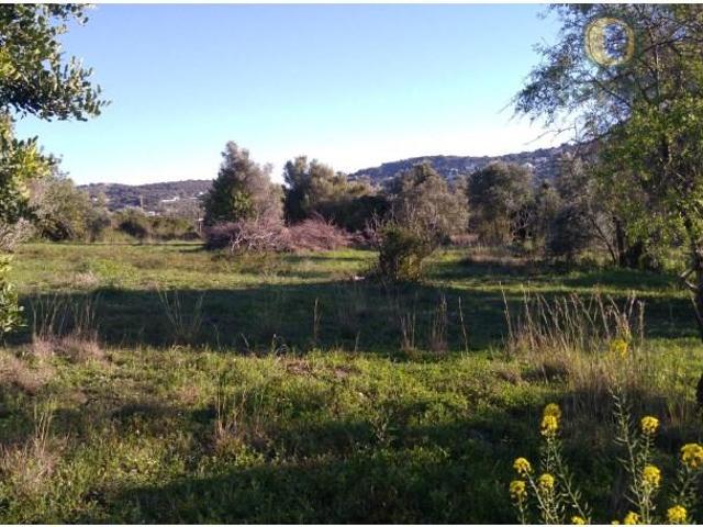 São Brás de Alportel São Brás de Alportel 104667882