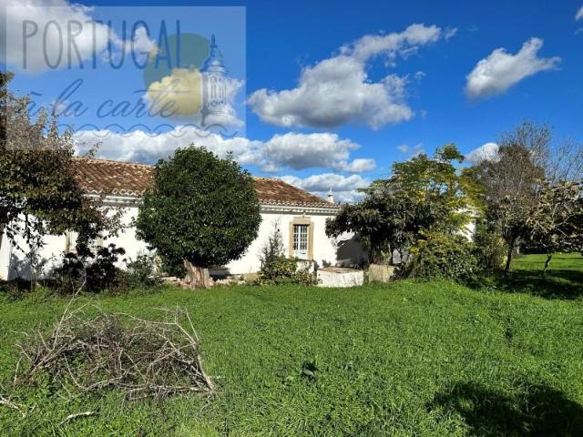 São Brás de Alportel São Brás de Alportel 104984410