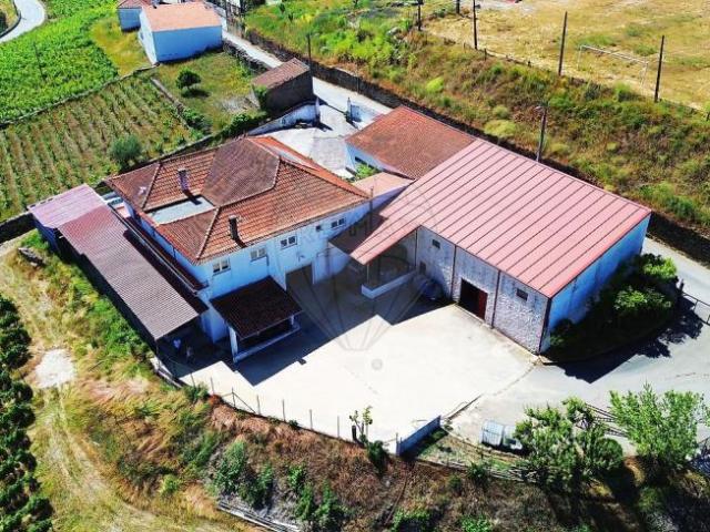 São João da Pesqueira Viseu 96200399