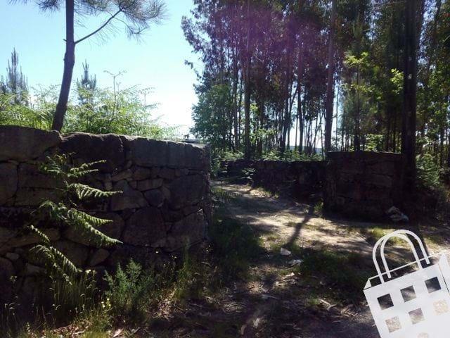 São Pedro do Sul Viseu 103653828