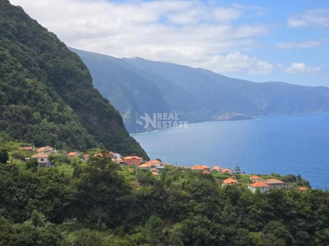 São Vicente Ilha da Madeira LS85690304